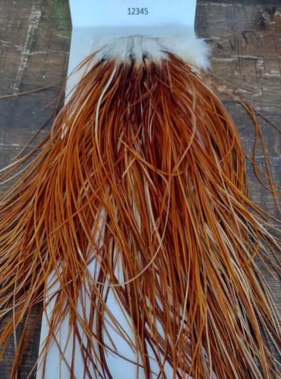 WHITING PRO GRADE ROOSTER SADDLE MIDGE SIZES 4 WHITING PRO GRADE ROOSTER SADDLE MIDGE SIZES - Image 2