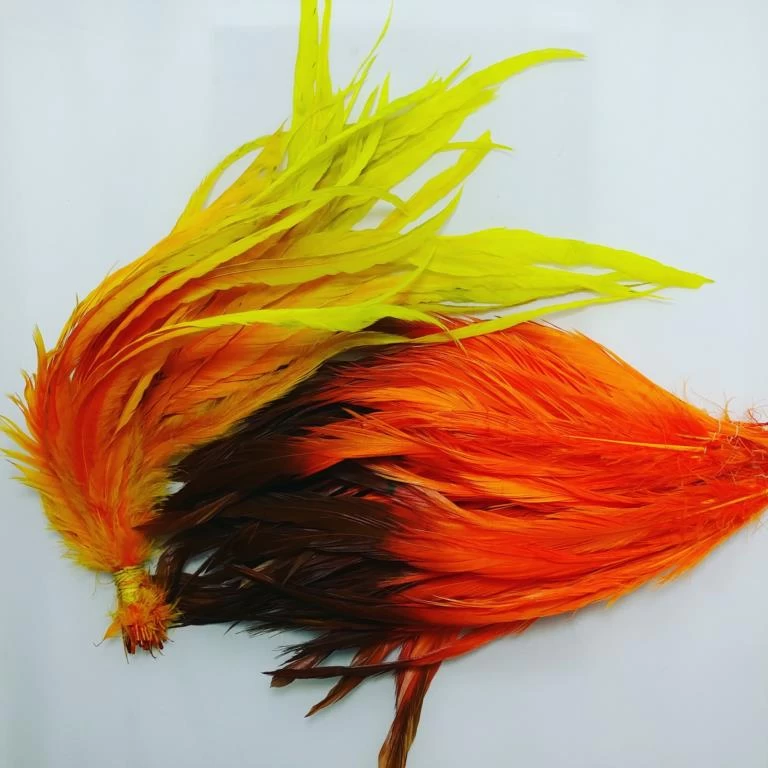 Fly Gear Shop -Fly Gear Shop 5050