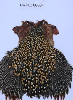 Whalesback JUNGLE COCK -Fly Gear Shop 80084