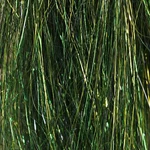 Angel Hair 12 Angel Hair - Image 10