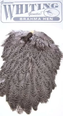 WHITING BRAHMA HEN SADDLE