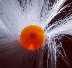 EASYSHRIMP DIAMOND FISH EYES -Fly Gear Shop EYE