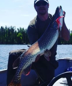 EASYSHRIMP DIAMOND FISH EYES -Fly Gear Shop EYES3