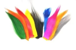 FUTURE FLY SUPREME GOAT