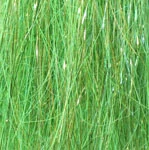 Angel Hair SSS 11 Angel Hair SSS - Image 9