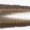 Argus Pheasant Tail Sections