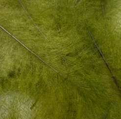 SWISS CDC ULTRA SELECT XL -Fly Gear Shop Screenshot202024 05 3120123906