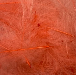 SWISS CDC ULTRA SELECT XL -Fly Gear Shop Screenshot202024 05 3120123920