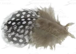 SPIRIT RIVER UV2 Large Eyed Guinea 14 SPIRIT RIVER UV2 Large Eyed Guinea -Fly Gear Shop UVNatural