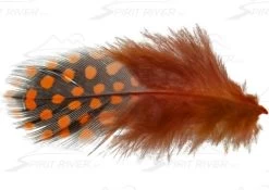 SPIRIT RIVER UV2 Large Eyed Guinea 15 SPIRIT RIVER UV2 Large Eyed Guinea -Fly Gear Shop UVOrange