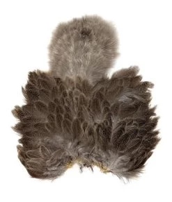 WHITING BRAHMA SOFT HACKLE CHICKABOU