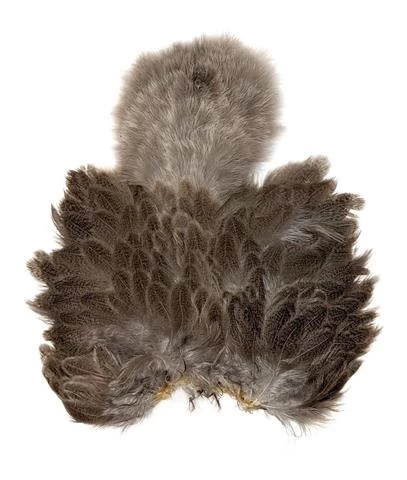 WHITING BRAHMA SOFT HACKLE CHICKABOU 3 WHITING BRAHMA SOFT HACKLE CHICKABOU