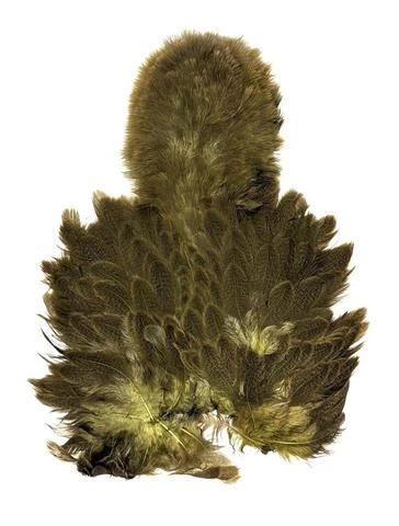 WHITING BRAHMA SOFT HACKLE CHICKABOU 4 WHITING BRAHMA SOFT HACKLE CHICKABOU - Image 2