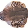 French Partridge Complete Skin