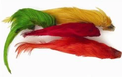 WAPSI Golden Pheasant, Crest Only 2 Pack