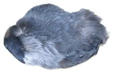 Jackdaw Whole Scalp