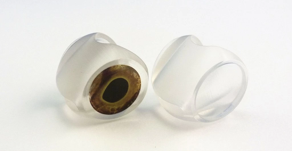 Fish Skull Fish Mask 3 Fish Skull Fish Mask