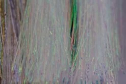 WHALESBACK KINKY FLASH 16 WHALESBACK KINKY FLASH -Fly Gear Shop pearl 1