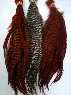 WHITING Schlappen Bundle 10"-14"