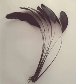 WHALESBACK STRIPPED ROOSTER FEATHERS