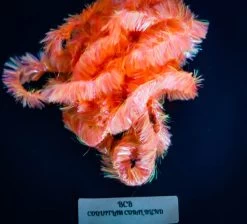 ALCHEMISTS Bi Colour Blob Fritz -Fly Gear Shop untitled 1084