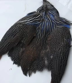 Vulterine -Fly Gear Shop vulterineskin