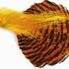 WAPSI Golden Pheasant Complete Head And Tippet -Fly Gear Shop wapsi2026820Small