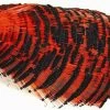 WAPSI Golden Pheasant Tippet Section -Fly Gear Shop wapsi2027020Small